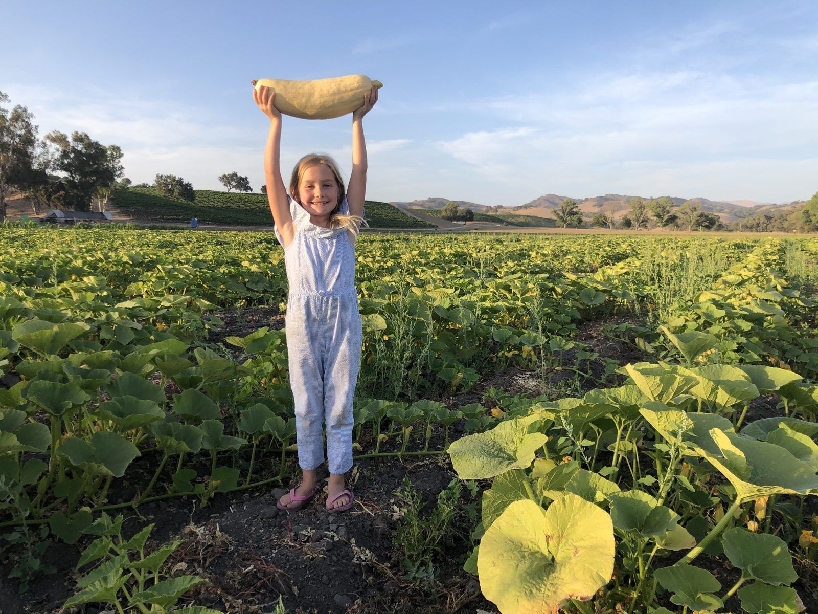 A young girl holding up a freshly picked squash in the farm field